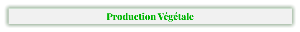 Production Végétale
