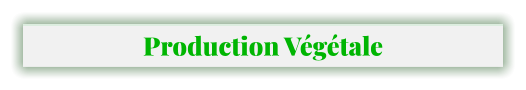 Production Végétale