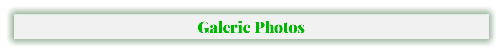 Galerie Photos
