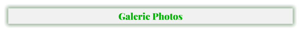 Galerie Photos