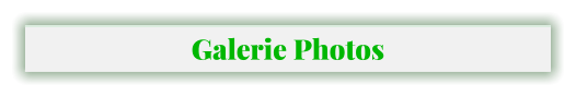 Galerie Photos