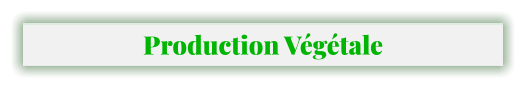 Production Végétale